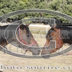 2025-©photo-sourire.com-IZOTOP-1005