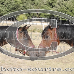 2025-©photo-sourire.com-IZOTOP-1006