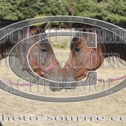 2025-©photo-sourire.com-IZOTOP-1008