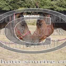 2025-©photo-sourire.com-IZOTOP-1009