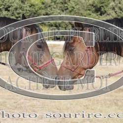 2025-©photo-sourire.com-IZOTOP-1011