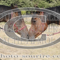 2025-©photo-sourire.com-IZOTOP-1012