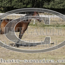 2025-©photo-sourire.com-IZOTOP-1013