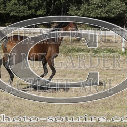 2025-©photo-sourire.com-IZOTOP-1014