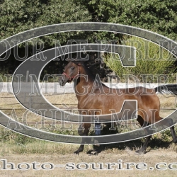 2025-©photo-sourire.com-IZOTOP-1015