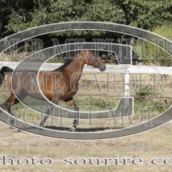 2025-©photo-sourire.com-IZOTOP-1017