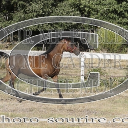 2025-©photo-sourire.com-IZOTOP-1018