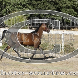 2025-©photo-sourire.com-IZOTOP-1019