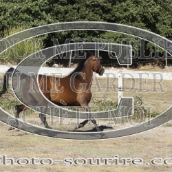 2025-©photo-sourire.com-IZOTOP-1020