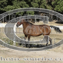 2025-©photo-sourire.com-IZOTOP-1021