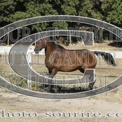 2025-©photo-sourire.com-IZOTOP-1022