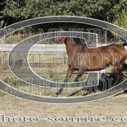 2025-©photo-sourire.com-IZOTOP-1026