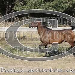 2025-©photo-sourire.com-IZOTOP-1027