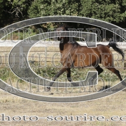 2025-©photo-sourire.com-IZOTOP-1029