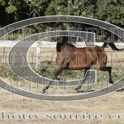 2025-©photo-sourire.com-IZOTOP-1030