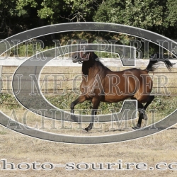 2025-©photo-sourire.com-IZOTOP-1031