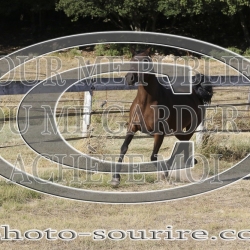 2025-©photo-sourire.com-IZOTOP-1032