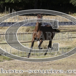 2025-©photo-sourire.com-IZOTOP-1033