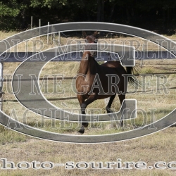 2025-©photo-sourire.com-IZOTOP-1034