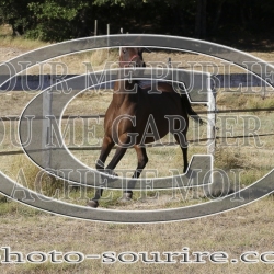 2025-©photo-sourire.com-IZOTOP-1036