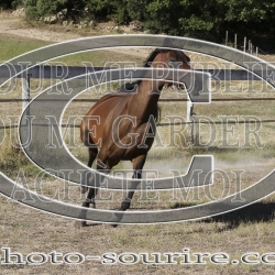 2025-©photo-sourire.com-IZOTOP-1038