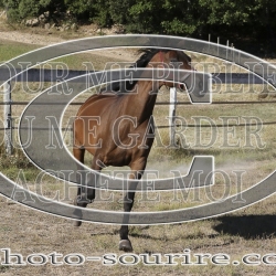 2025-©photo-sourire.com-IZOTOP-1039