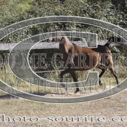 2025-©photo-sourire.com-IZOTOP-1040