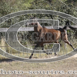 2025-©photo-sourire.com-IZOTOP-1041