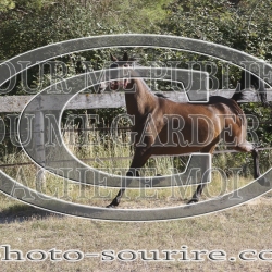 2025-©photo-sourire.com-IZOTOP-1042