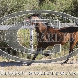 2025-©photo-sourire.com-IZOTOP-1043