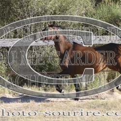 2025-©photo-sourire.com-IZOTOP-1044