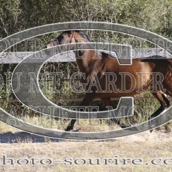 2025-©photo-sourire.com-IZOTOP-1045