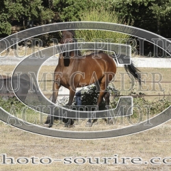 2025-©photo-sourire.com-IZOTOP-1046