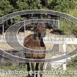 2025-©photo-sourire.com-IZOTOP-1048