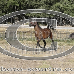 2025-©photo-sourire.com-IZOTOP-1049