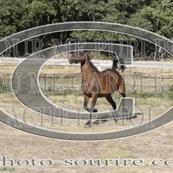 2025-©photo-sourire.com-IZOTOP-1050