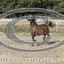 2025-©photo-sourire.com-IZOTOP-1051