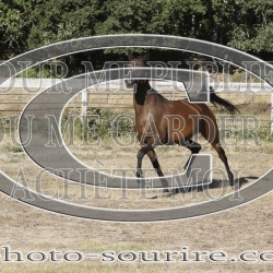 2025-©photo-sourire.com-IZOTOP-1052