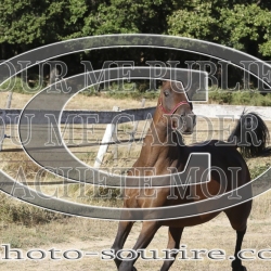 2025-©photo-sourire.com-IZOTOP-1053