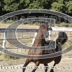 2025-©photo-sourire.com-IZOTOP-1054