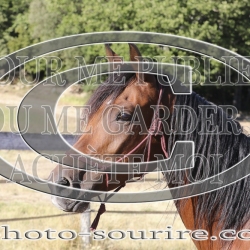 2025-©photo-sourire.com-IZOTOP-1055