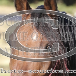 2025-©photo-sourire.com-IZOTOP-1056