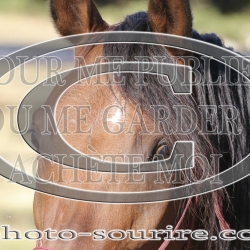 2025-©photo-sourire.com-IZOTOP-1057