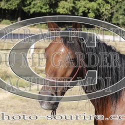 2025-©photo-sourire.com-IZOTOP-1058