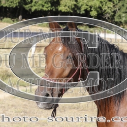 2025-©photo-sourire.com-IZOTOP-1059