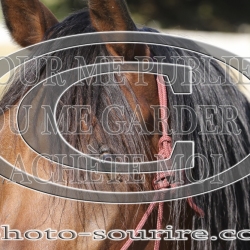 2025-©photo-sourire.com-IZOTOP-1060