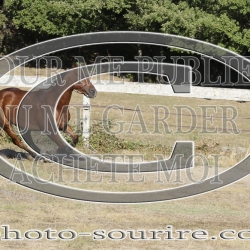 2025-©photo-sourire.com-IZOTOP-1061