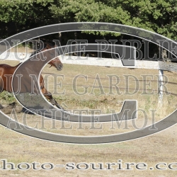 2025-©photo-sourire.com-IZOTOP-1062