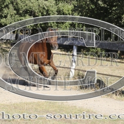 2025-©photo-sourire.com-IZOTOP-1063