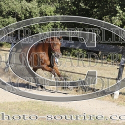 2025-©photo-sourire.com-IZOTOP-1064